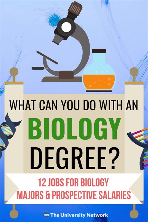 12 Jobs For Biology Majors The University Network Biology Major 12 Jobs For Biology Majors The University Network Biology Major