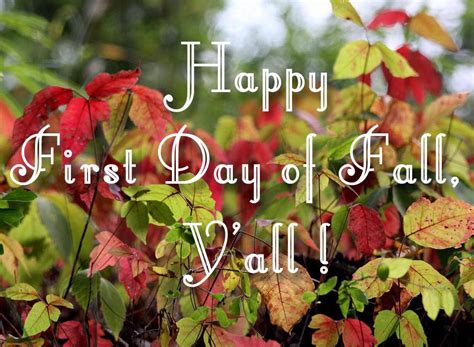 Fall Begins Today