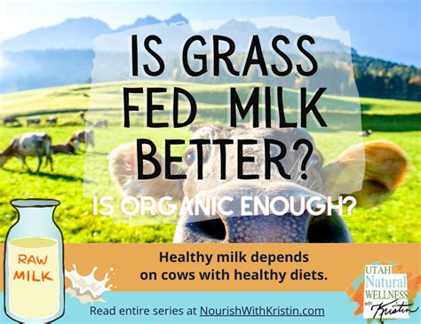 23 Grass Fed Dairy Benefits Ideas Grass Fed Dairy Organic Dairy Grass 23 Grass Fed Dairy Benefits Ideas Grass Fed Dairy Organic Dairy Grass