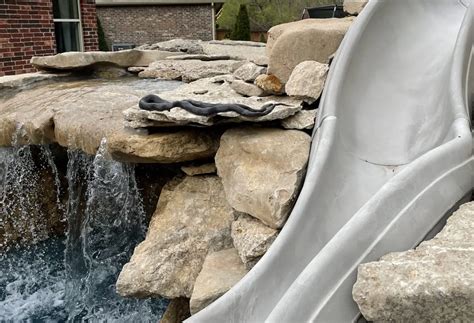5 Ways To Keep Snakes Out Of Your Pool Best Life