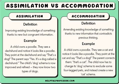Accommodation And Assimilation In Psychology Accommodation And Assimilation In Psychology