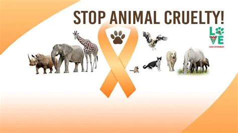 Animal Cruelty Prevention Month April 2018 I Love Veterinary