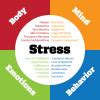 Chronically Stressed Help Yourself In 4 Steps Uf Counseling And Chronically Stressed Help Yourself In 4 Steps Uf Counseling And