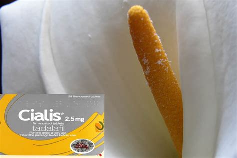 Cialis Uso In Disfunzione Erettile Effetti Collaterali Cialis Uso In Disfunzione Erettile Effetti Collaterali
