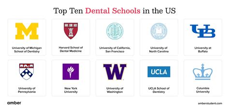 Dental Schools In Massachusetts Top Schools In The Usa Dental Schools In Massachusetts Top Schools In The Usa