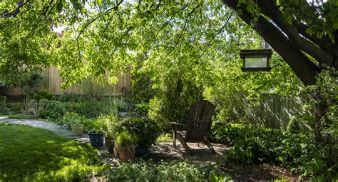 Five Ways To Grow Resilient Gardens In A Changing Climate The Morton Five Ways To Grow Resilient Gardens In A Changing Climate The Morton