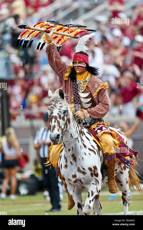5 Facts Florida State Mascot