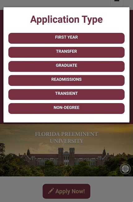 5 FSU Applicant Portal Tips