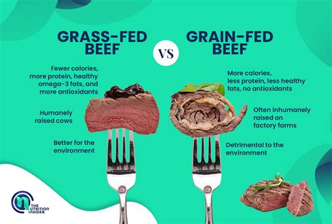 Grass Fed Vs Grain Fed Beef What You Need To Know Grass Fed Vs Grain Fed Beef What You Need To Know