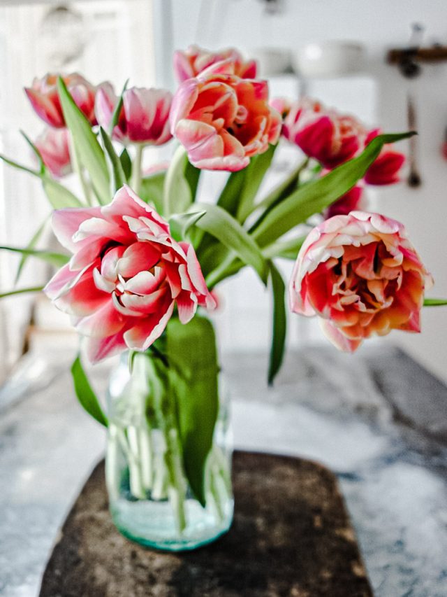 How To Arrange Tulips In A Vase B Vintage Style How To Arrange Tulips In A Vase B Vintage Style