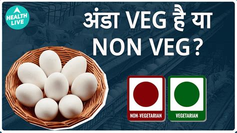 Is Egg Veg Or Non Veg Facts To Know About Egg Vegetarian Or Non Is Egg Veg Or Non Veg Facts To Know About Egg Vegetarian Or Non