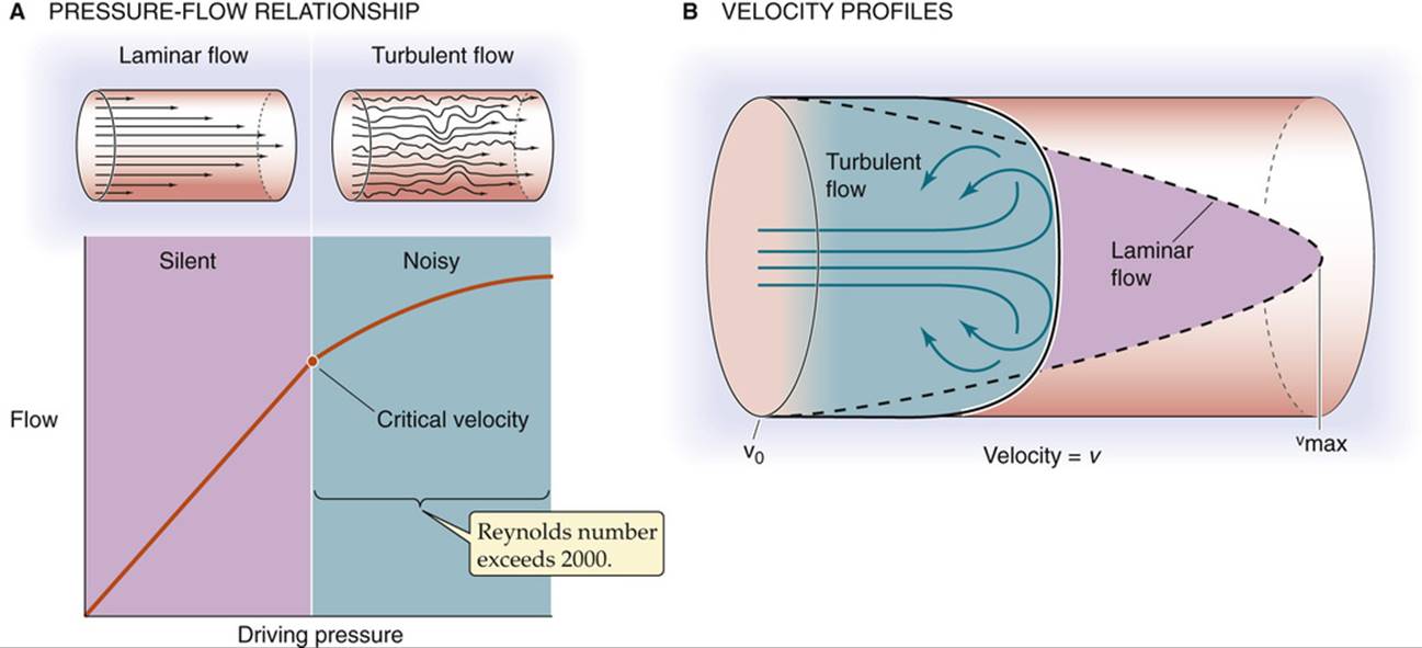 Laminar vs Turbulent Flow Explained