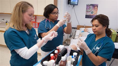 Licensed Practical Nurse Training Programs