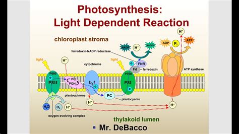5 Ways Light Drives Reactions