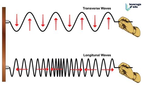5 Wave Types