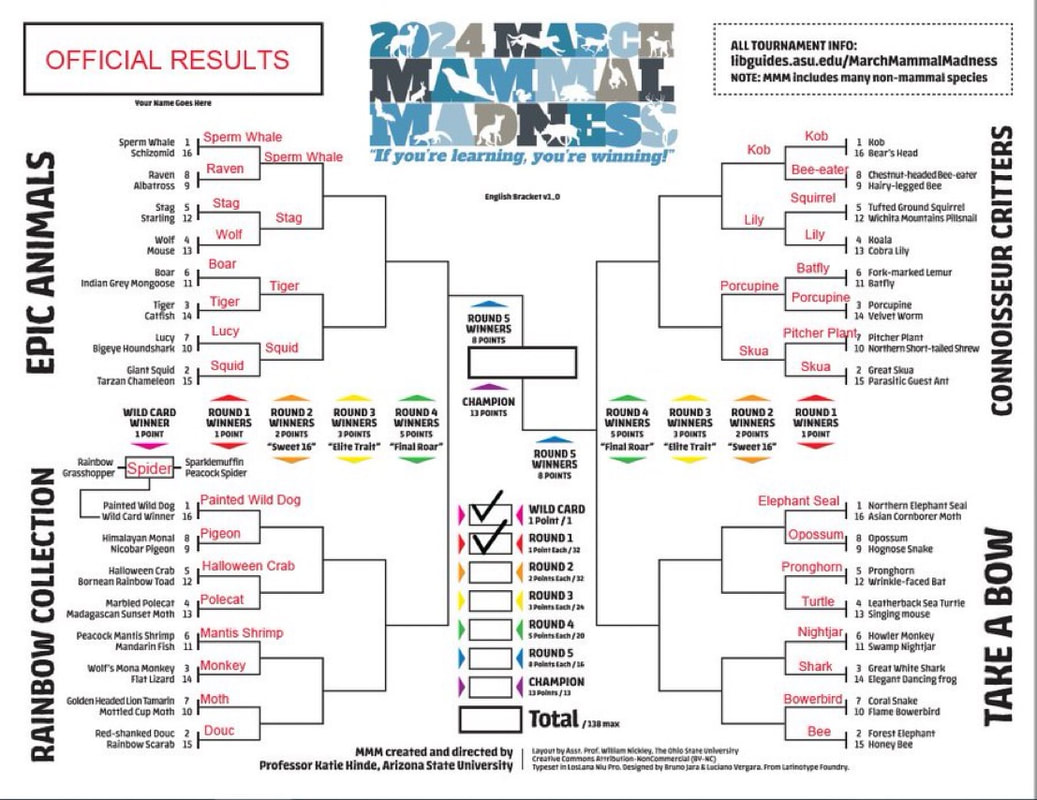 5 Mammal Madness Facts