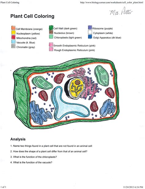5 Plant Cell Coloring Tips