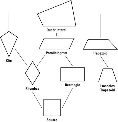 Properties Of Rhombuses Rectangles And Squares Dummies Properties Of Rhombuses Rectangles And Squares Dummies