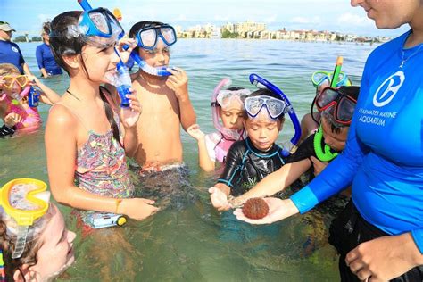 Six Ocean Friendly Habits To Help Protect Marine Life Clearwater Six Ocean Friendly Habits To Help Protect Marine Life Clearwater