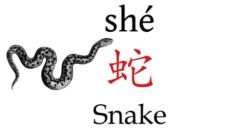 5 Ways Snake