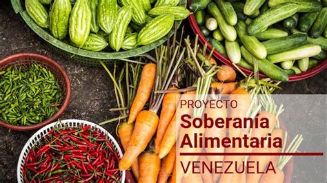 Soberan A Alimentaria En Venezuela Soberan A Alimentaria En Venezuela