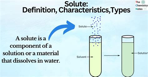 Solute Definition in Biology