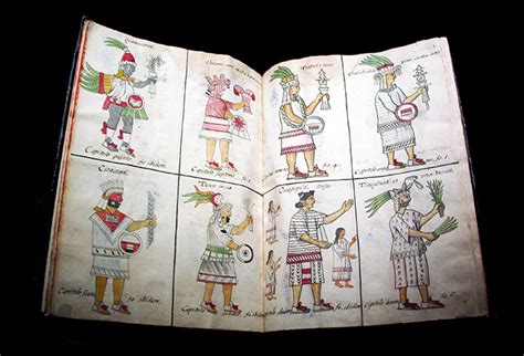 5 Facts About Codex