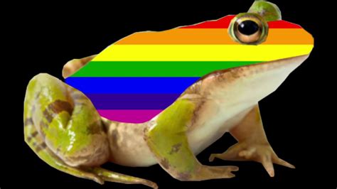 The Frogs Are Gay Pilotlader The Frogs Are Gay Pilotlader