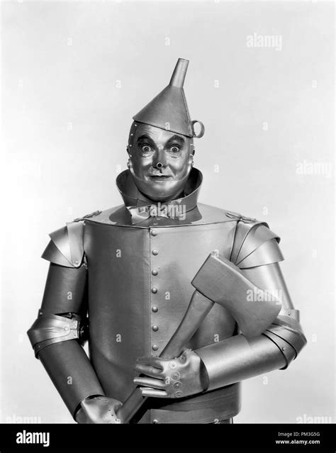 Tin Man from Wizard of Oz Character
