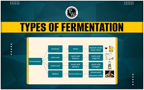 Types Of Fermentation Definition Process Advantages Types Of Fermentation Definition Process Advantages