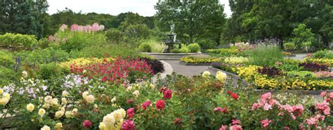 5 Ways Arboretum