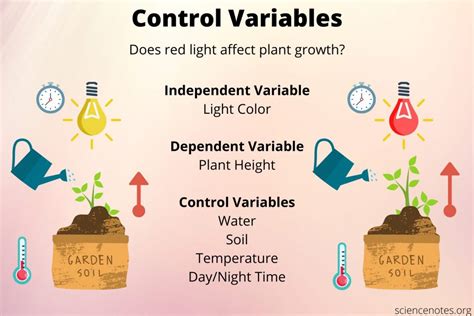 5 Ways Controlled Variables Work