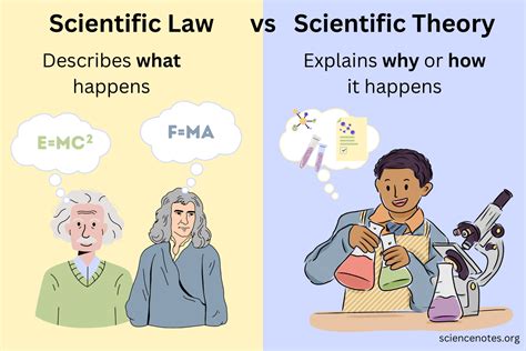 5 Science Law Basics
