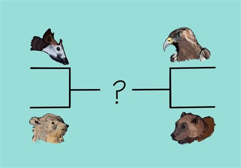 What Is March Mammal Madness The Franklin Post What Is March Mammal Madness The Franklin Post